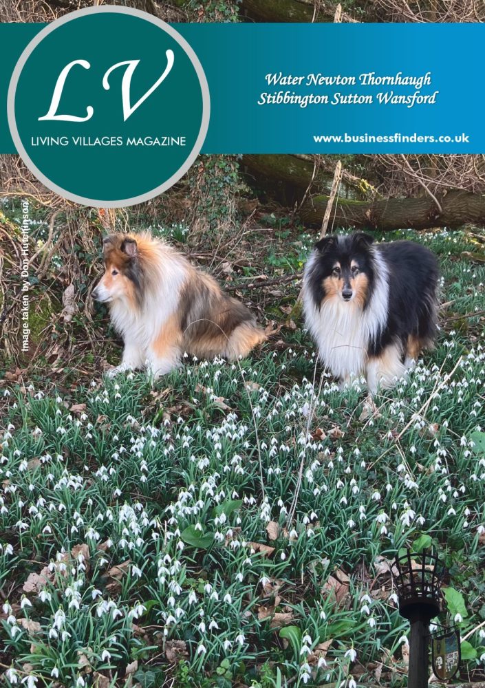 lv-cover-mar25